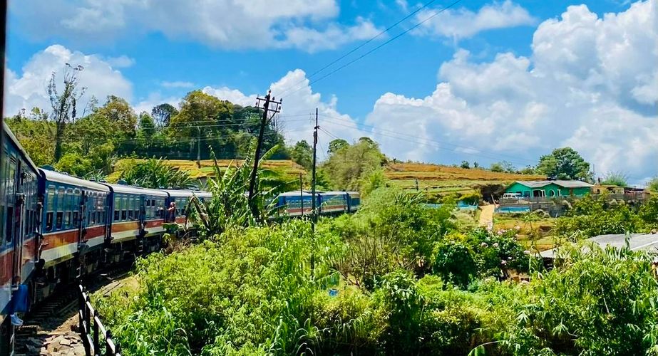 Treinrit langs theeplantages Treinrit langs theeplantages